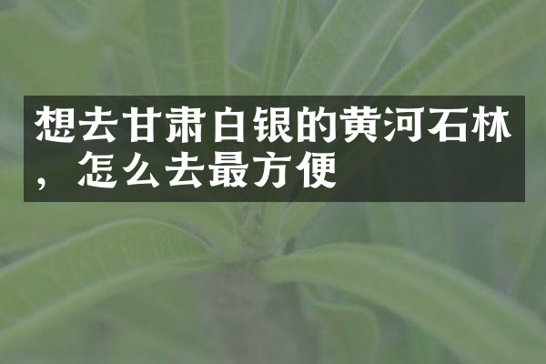 想去甘肃白银的黄河石林，怎么去最方便