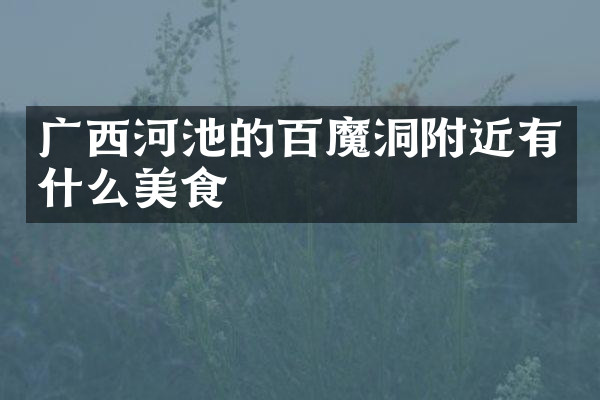 广西河池的百魔洞附近有什么美食