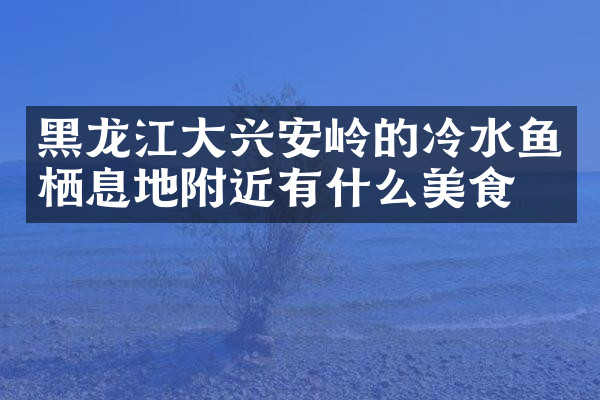 黑龙江大兴安岭的冷水鱼栖息地附近有什么美食