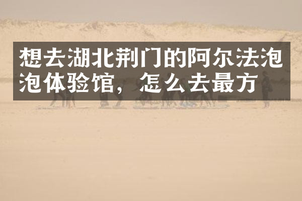 想去湖北荆门的阿尔法泡泡体验馆，怎么去最方便