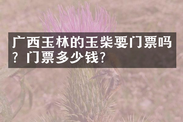 广西玉林的玉柴要门票吗？门票多少钱？