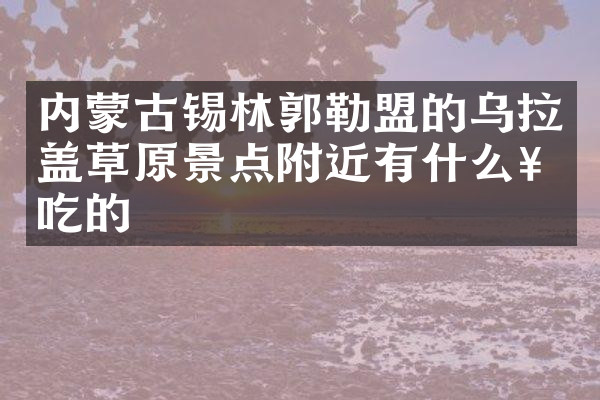 内蒙古锡林郭勒盟的乌拉盖草原景点附近有什么好吃的