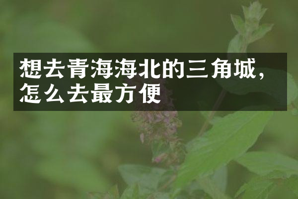 想去青海海北的三角城，怎么去最方便