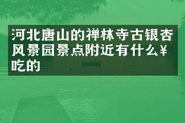 河北唐山的禅林寺古银杏风景园景点附近有什么好吃的