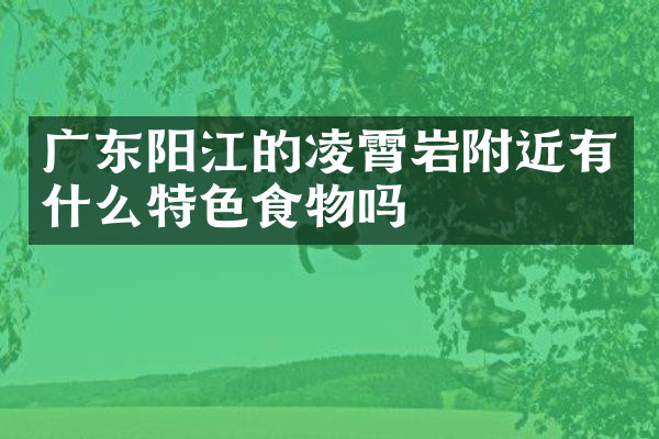广东阳江的凌霄岩附近有什么特色食物吗