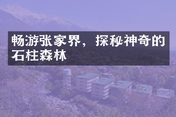 畅游张家界，探秘神奇的石柱森林