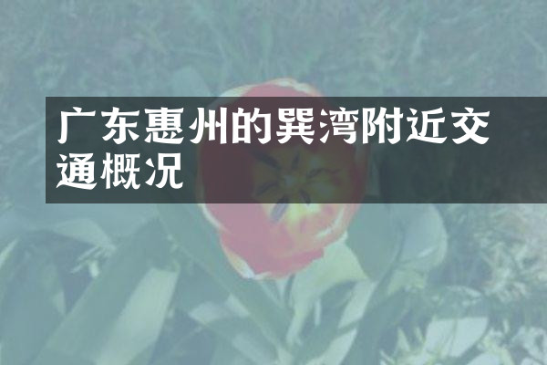 广东惠州的巽竂湾附近交通概况