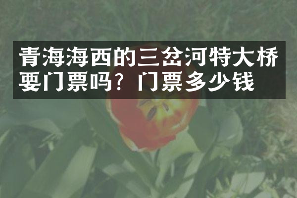 青海海西的三岔河特大桥要门票吗？门票多少钱？