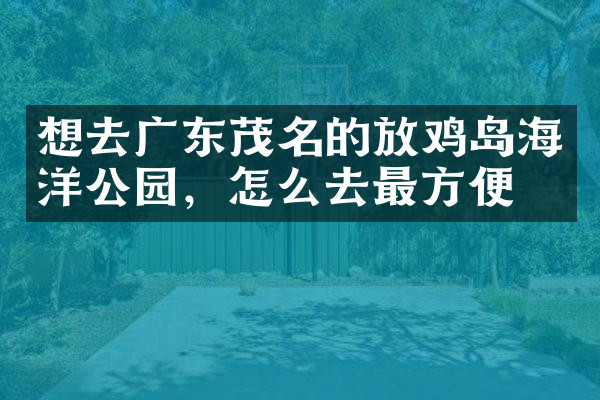 想去广东茂名的放鸡岛海洋公园，怎么去最方便