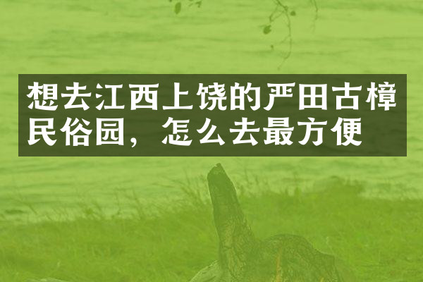 想去江西上饶的严田古樟民俗园，怎么去最方便