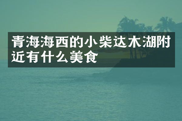 青海海西的小柴达木湖附近有什么美食