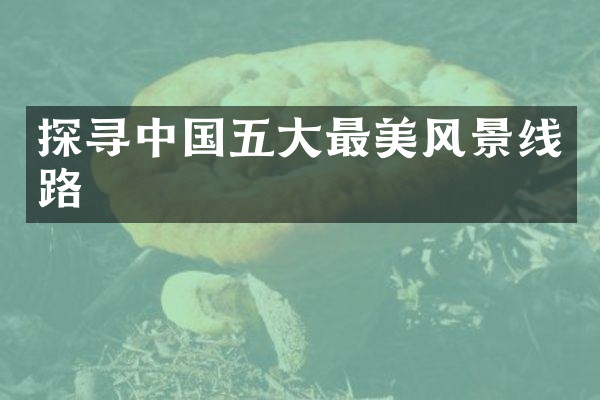 探寻中国五大最美风景线路