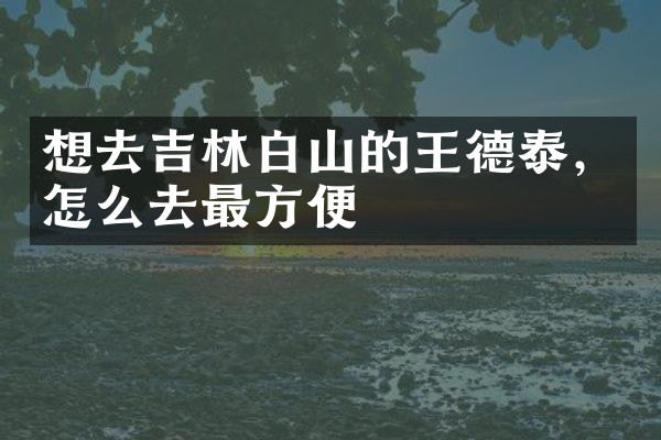 想去吉林白山的王德泰，怎么去最方便