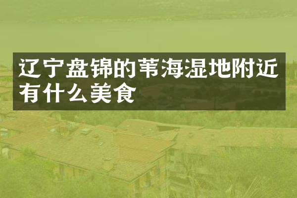 辽宁盘锦的苇海湿地附近有什么美食