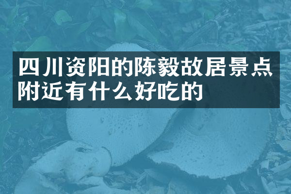 四川资阳的陈毅故居景点附近有什么好吃的