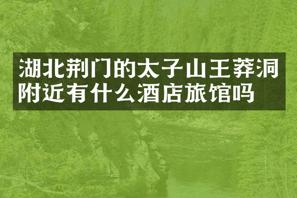 湖北荆门的太子山王莽洞附近有什么酒店旅馆吗