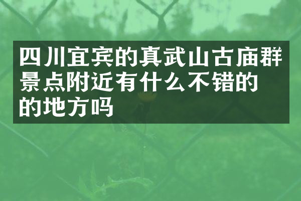 四川宜宾的真武山古庙群景点附近有什么不错的住的地方吗