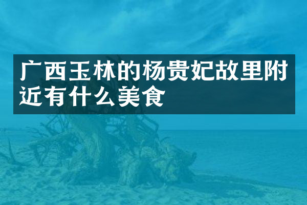 广西玉林的杨贵妃故里附近有什么美食
