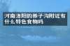 河南洛阳的养子沟附近有什么特色食物吗
