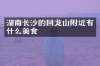 湖南长沙的回龙山附近有什么美食