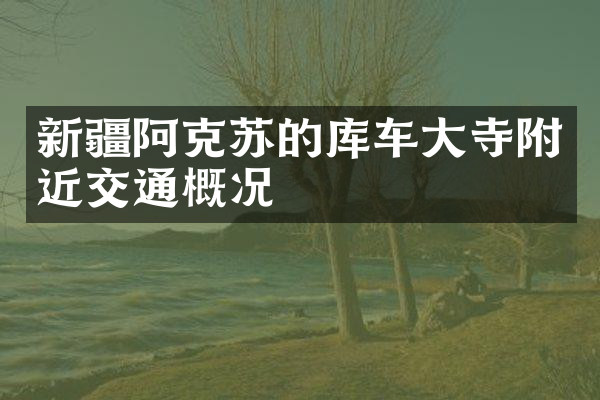 新疆阿克苏的库车大寺附近交通概况