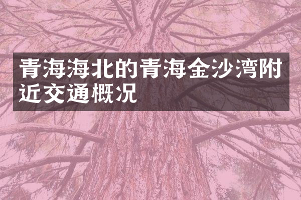 青海海北的青海金沙湾附近交通概况