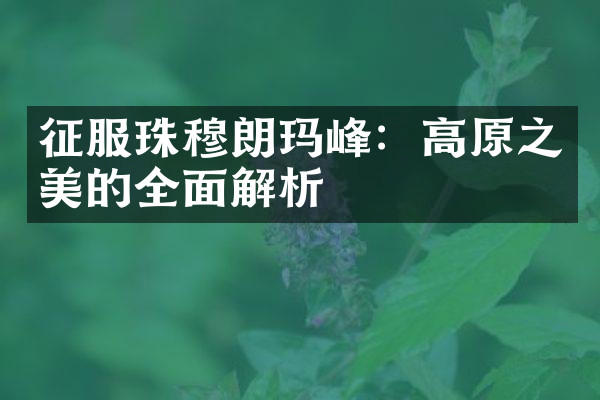 征服珠穆朗玛峰：高原之美的全面解析