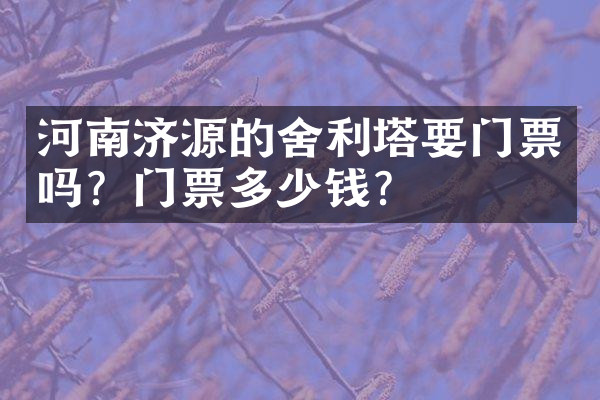 河南济源的舍利塔要门票吗？门票多少钱？
