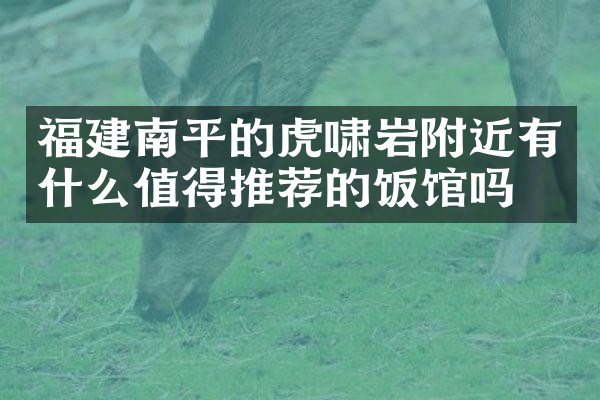 福建南平的虎啸岩附近有什么值得推荐的饭馆吗