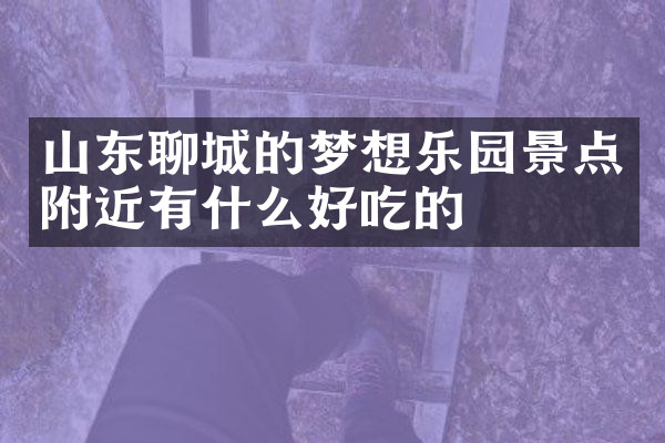 山东聊城的梦想乐园景点附近有什么好吃的