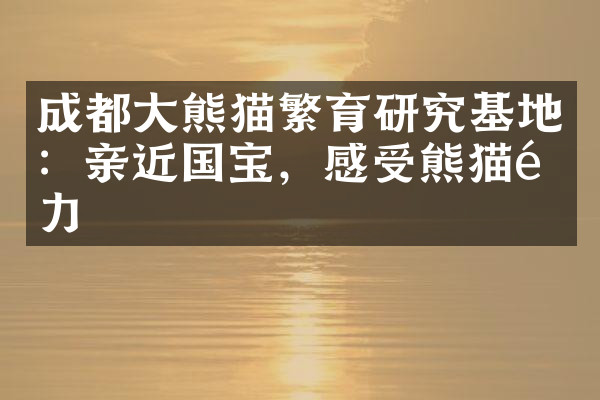 成都大熊猫繁育研究基地：亲近国宝，感受熊猫魅力