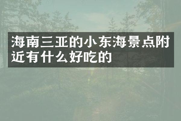 海南三亚的小东海景点附近有什么好吃的