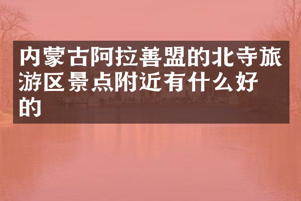 内蒙古阿拉善盟的北寺旅游区景点附近有什么好吃的