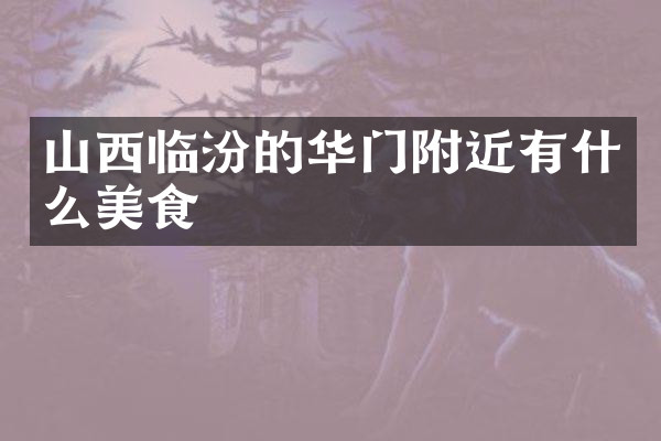 山西临汾的华门附近有什么美食
