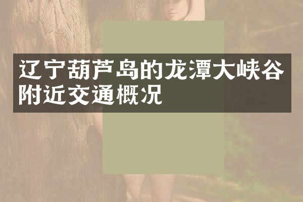 辽宁葫芦岛的龙潭大峡谷附近交通概况