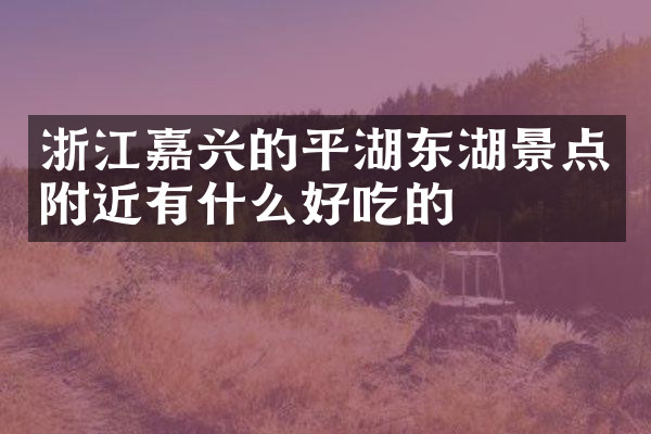 浙江嘉兴的平湖东湖景点附近有什么好吃的