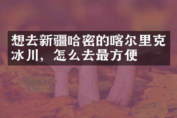 想去新疆哈密的喀尔里克冰川，怎么去最方便
