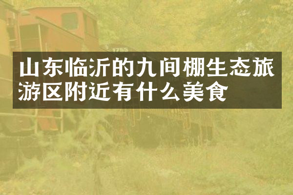 山东临沂的九间棚生态旅游区附近有什么美食