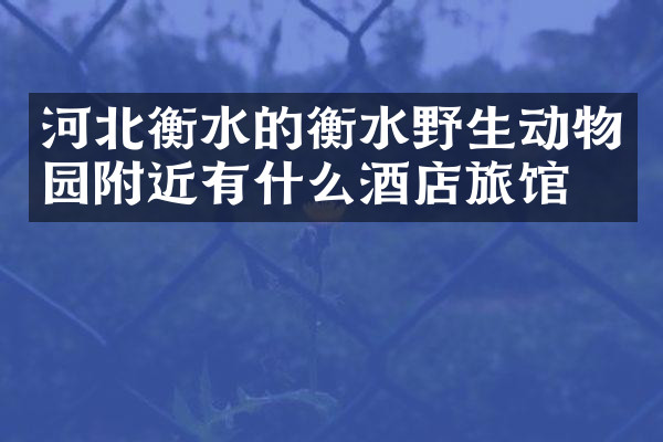 河北衡水的衡水野生动物园附近有什么酒店旅馆吗