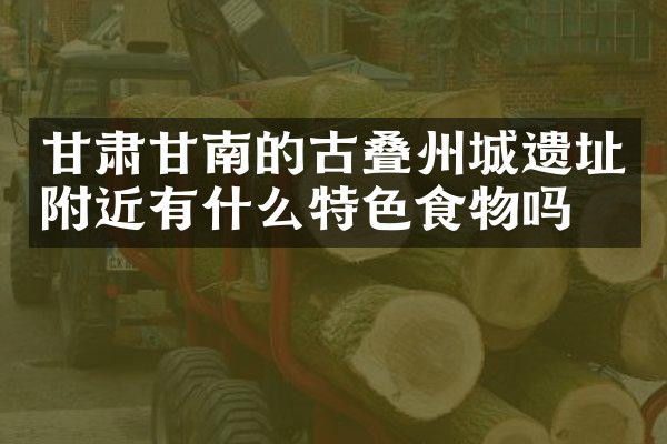 甘肃甘南的古叠州城遗址附近有什么特色食物吗