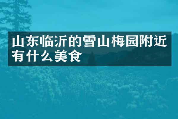 山东临沂的雪山梅园附近有什么美食