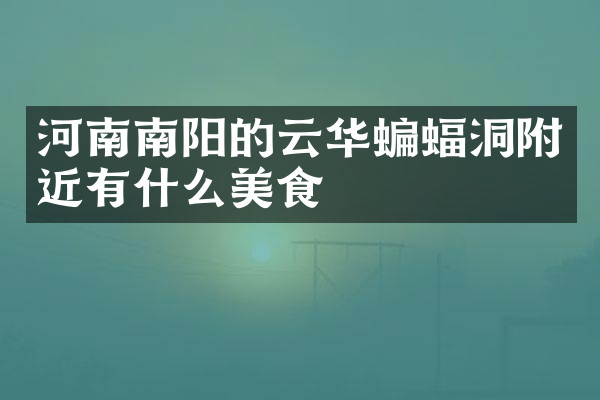 河南南阳的云华蝙蝠洞附近有什么美食