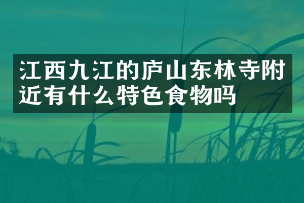 江西九江的庐山东林寺附近有什么特色食物吗