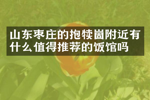 山东枣庄的抱犊崮附近有什么值得推荐的饭馆吗