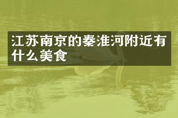 江苏南京的秦淮河附近有什么美食