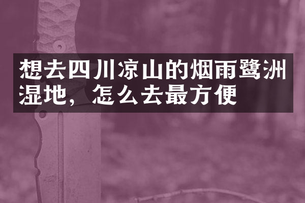 想去四川凉山的烟雨鹭洲湿地，怎么去最方便