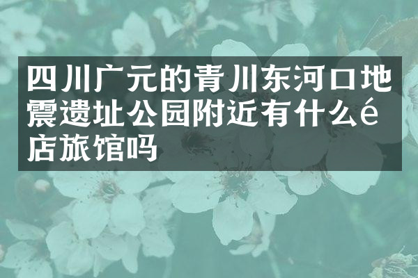 四川广元的青川东河口地震遗址公园附近有什么酒店旅馆吗