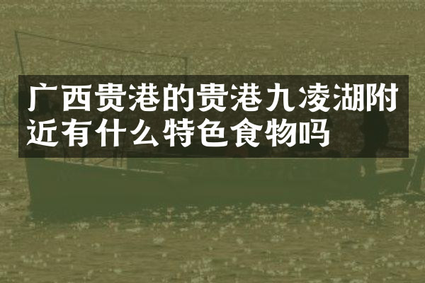 广西贵港的贵港九凌湖附近有什么特色食物吗