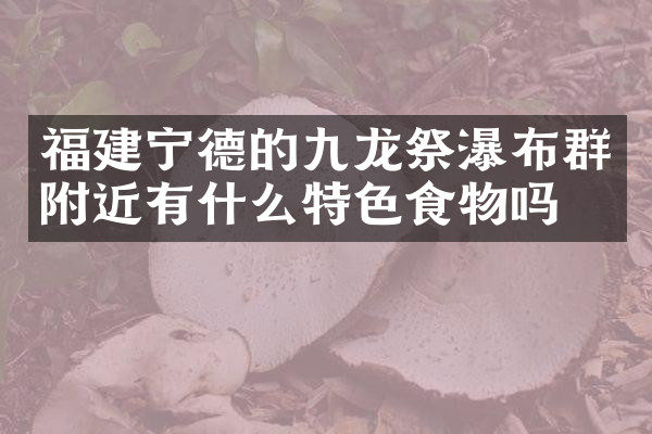 福建宁德的九龙祭瀑布群附近有什么特色食物吗