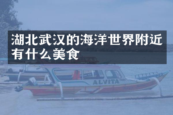 湖北武汉的海洋世界附近有什么美食